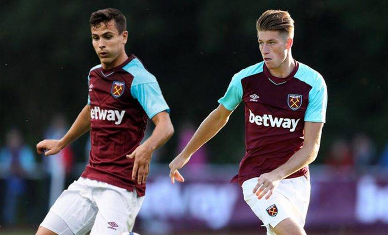 他们不仅具 他们不仅具